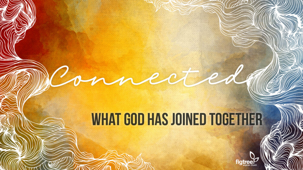 Connected - What God has Joined Together