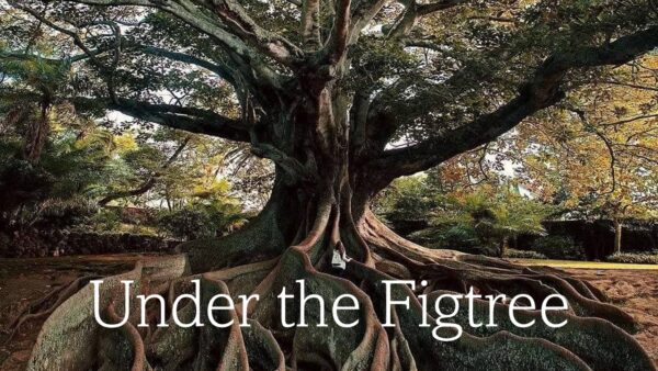 Soils | Under the Figtree Image